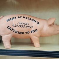 Nelson's ico