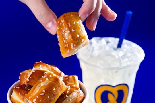 Auntie Annes Food Truck