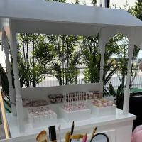 Andrea Cake Artist by Mamine Krofnice and Yummy Bites Catering ico
