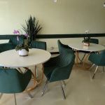Lemon Tiramisu Bakery