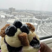 Molly's Cupcakes Yorktown ico