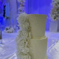 Susu's Dream Cakes ico