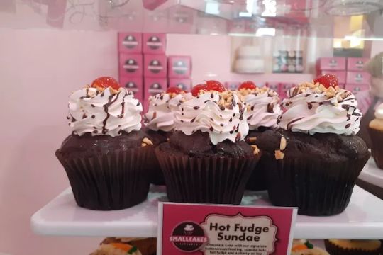 Smallcakes Cupcakery and Ice Cream