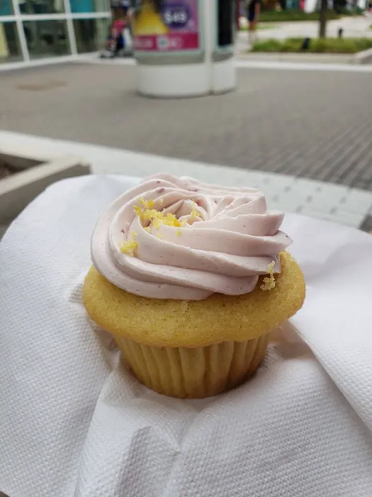 Molly’s Cupcakes OakBrook Picture 1