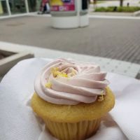 Molly’s Cupcakes OakBrook ico