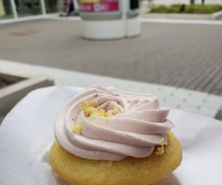 Mollyu2019s Cupcakes OakBrook