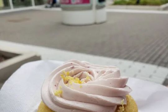 Mollyu2019s Cupcakes OakBrook