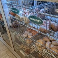 Barb City Bagels ico