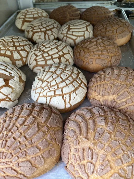 Panaderia alfa Picture 6