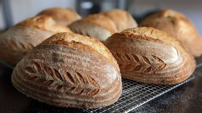 The Ancestral Oven, Sourdough Bakery and Café Picture 6