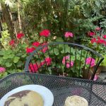 Letizia's Natural Bakery