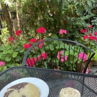 Letizia's Natural Bakery ico