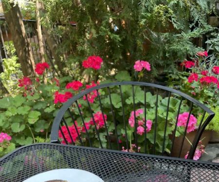 Letizia's Natural Bakery