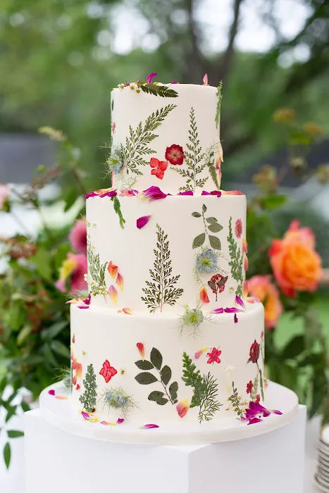 Cake Sweet Food Chicago Picture 3