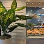 The Cookie Bar by Summer House