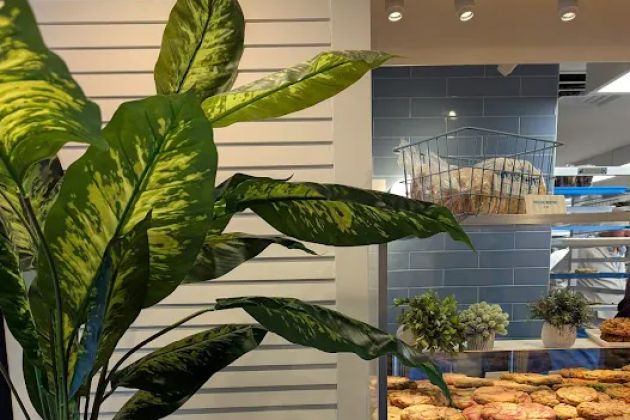 The Cookie Bar by Summer House