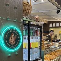 VERTIGE ico