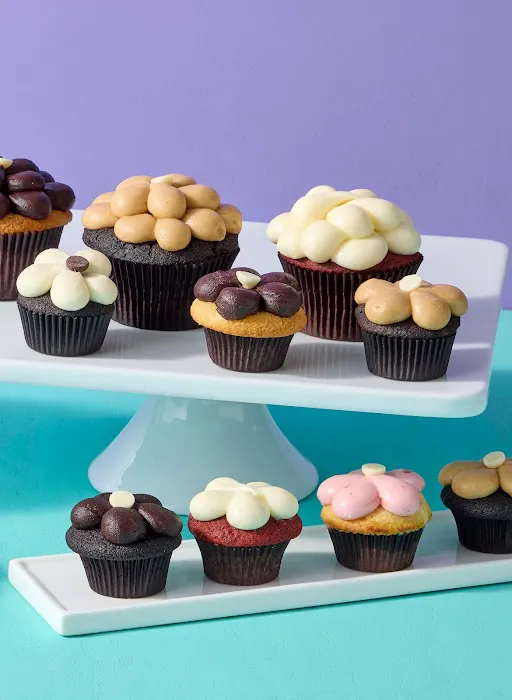 Sugar Bliss Picture 8