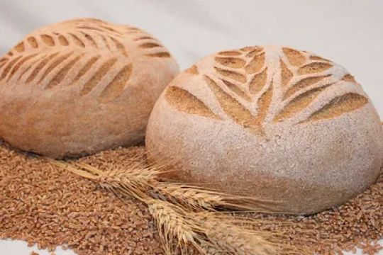 Great Harvest Bread Co - Cary