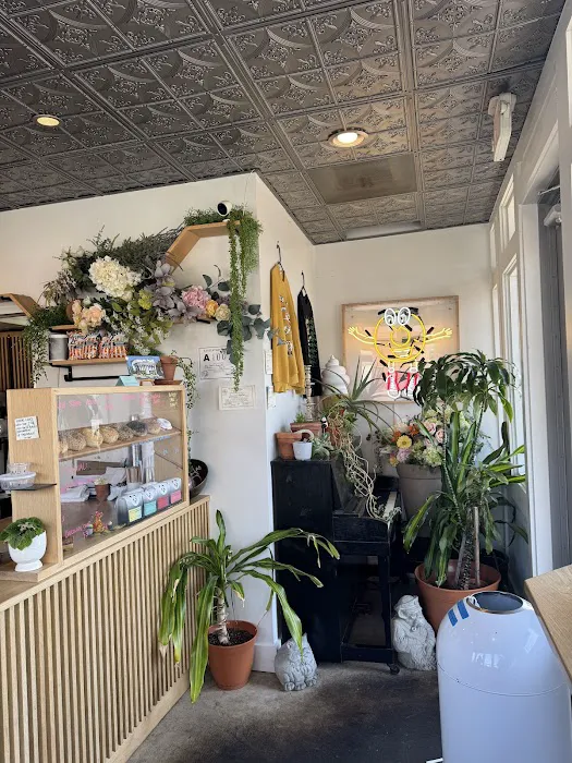 Big Dom's Bagel Shop Picture 8