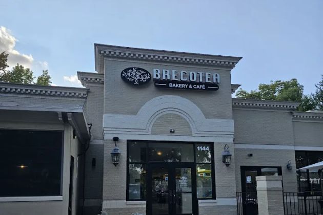 Brecotea