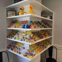 Groovy Duck Bakery ico