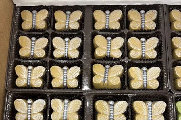 Le Macaron French Pastries Raleigh
