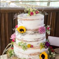 Rosita's Cakes ico