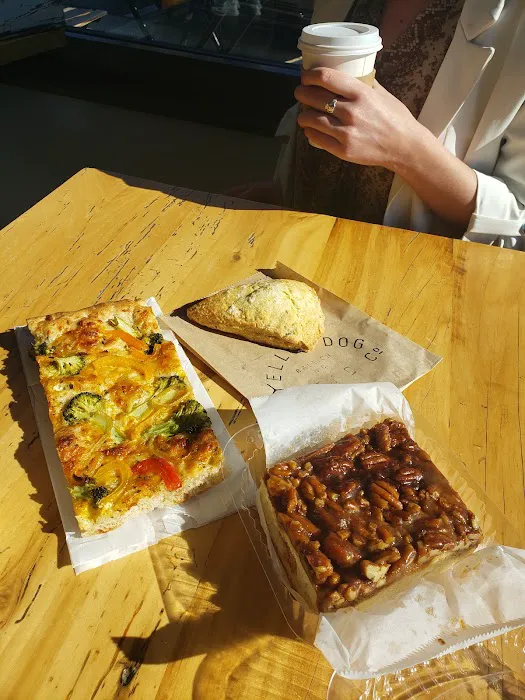 Yellow Dog Bread Company Picture 1