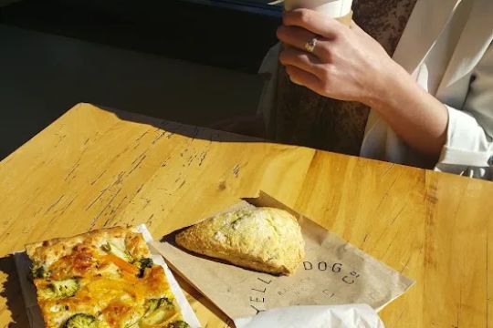 Yellow Dog Bread Company