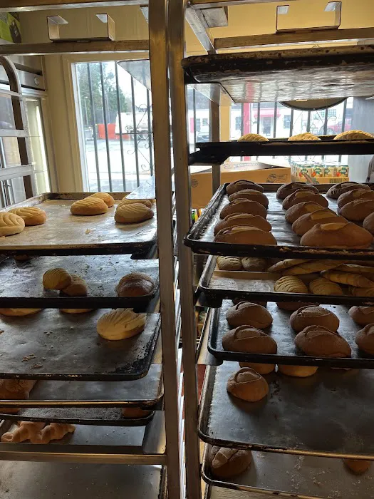 Panaderia la loma Picture 5