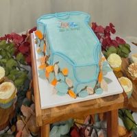 Chelle’s - Cakes By Michelle Wetsch ico