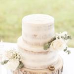 Plant Cakes Bake Shop