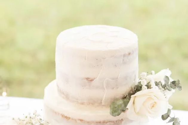 Plant Cakes Bake Shop