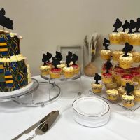 Smallcakes Cupcakery and Creamery ico