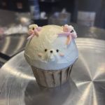 Buttercoop Bakery