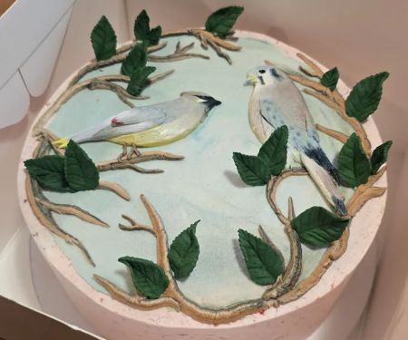 The Cake Batch