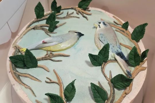 The Cake Batch