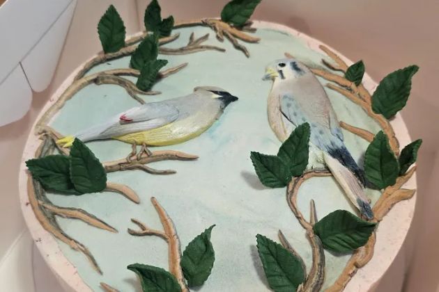 The Cake Batch
