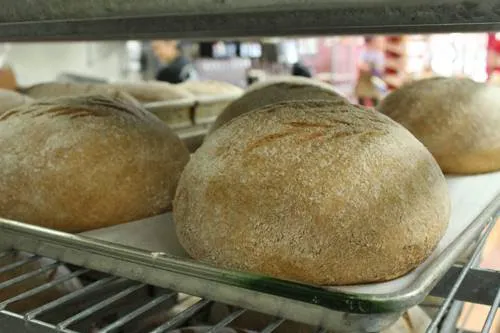Great Harvest Bread Co. of Clackamas Picture 1