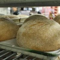 Great Harvest Bread Co. of Clackamas ico