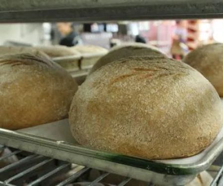 Great Harvest Bread Co. of Clackamas