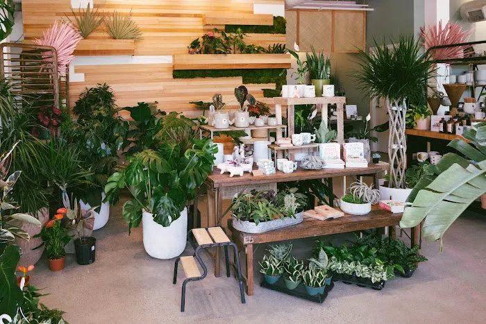 Botanical Bakeshop Picture 4