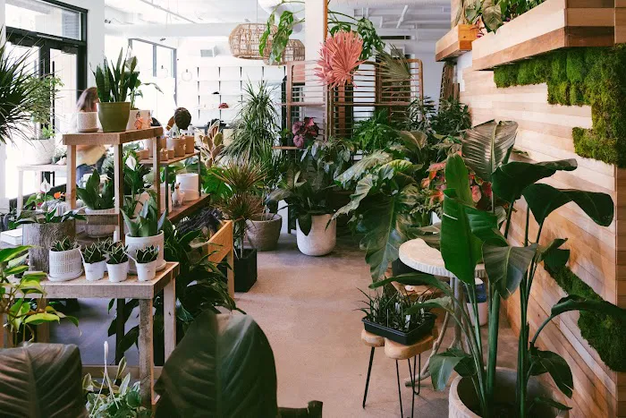 Botanical Bakeshop Picture 3
