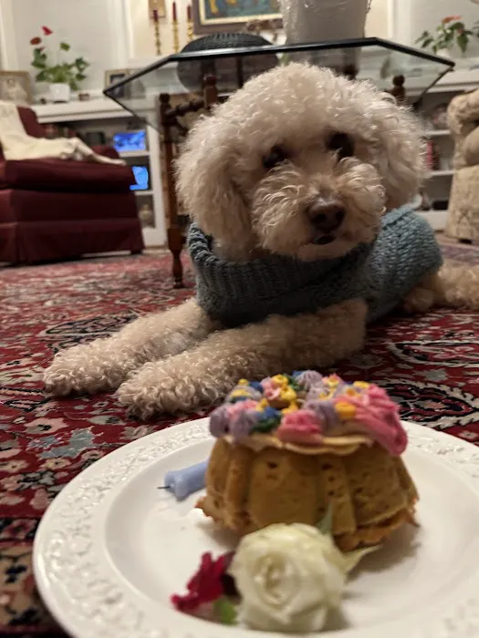 Bring! Treats for Dogs Picture 1