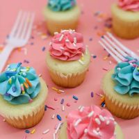 FAT Cupcake ico
