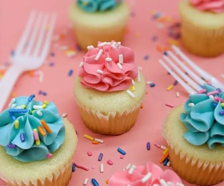 FAT Cupcake