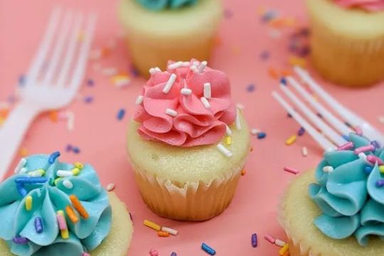 FAT Cupcake