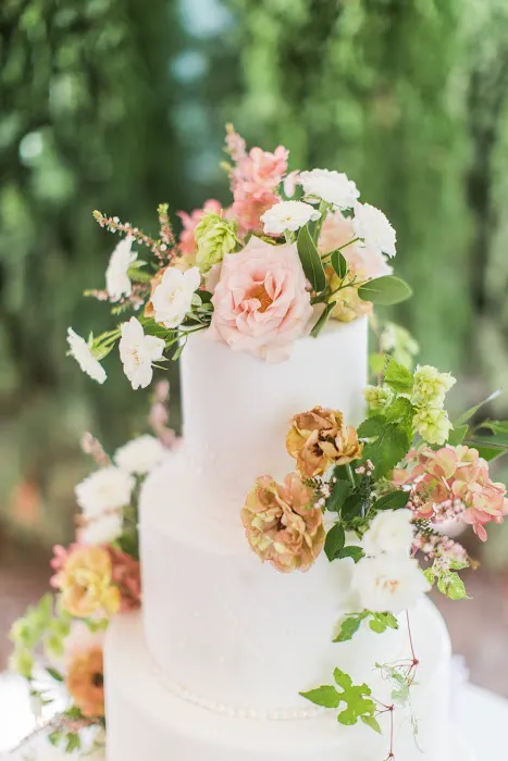 Serious Cake Picture 6