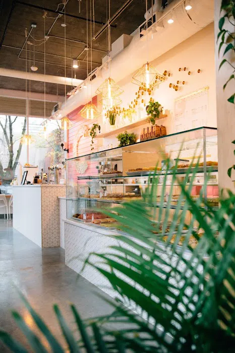 Coco Donuts & Coffee PSU Picture 1